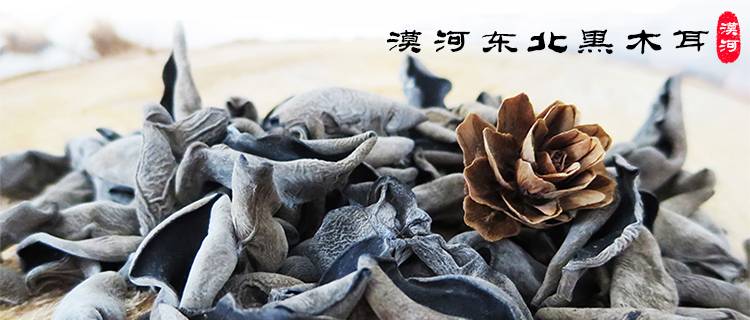 东北黑木耳