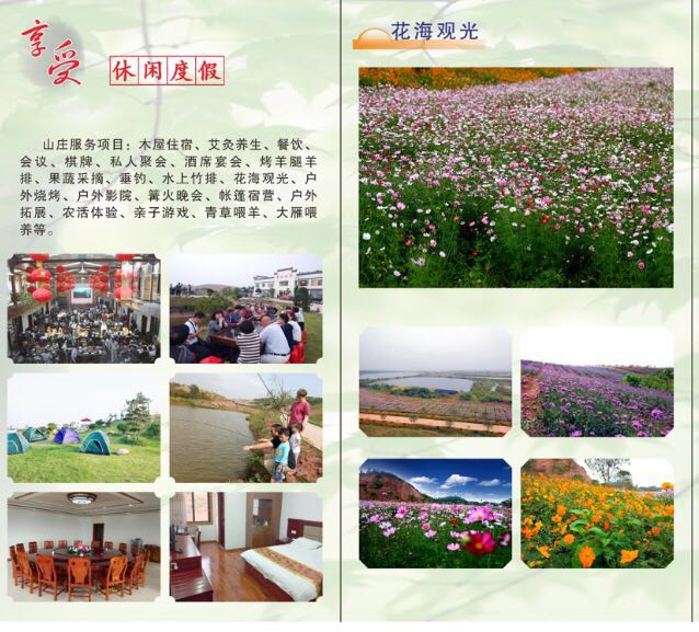 点击放大