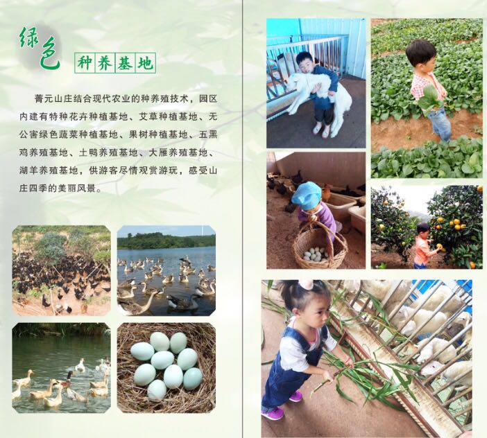 点击放大