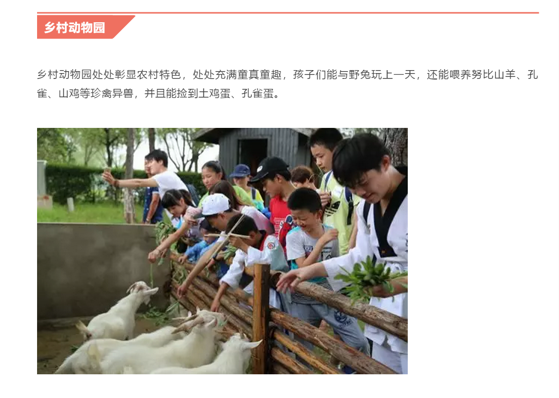 点击放大